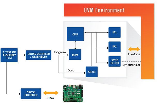 UVM Environment